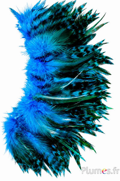 Franje haan - lengte veren 10-15 cm - turquoise